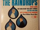 The Raindrops Rare Stereo LP Jubilee JGS 5023