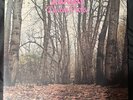 Twink Think Pink Used 2013 UK RE Vinyl LP Psych W/Insert + Booklet, No Bonus CD