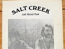Vtg 77' Salt CREEK Just About Due LP Psych Acid Folk Michigan Private Press Rock