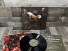 St. Paul & The Broken Bones – Young Sick Camellia Vinyl Rare Signed By The Band