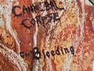 Cannibal Corpse - The Bleeding Vinyl LP Picture Disc