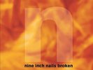 Nine Inch Nails Broken: Definitive Edition [Explicit Content] (With Bonus 7