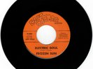 Frozen Sun Electric Soul 45 Capt. Zoomar 1969 Rare Tucson AZ Heavy Psych Fuzz