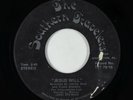 Funk/Sweet Soul Gospel 45 - Southern Travelers - Jesus Will - Private