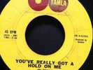 The Miracles - You've Really Got A Hold On Me / Happy Landing (7