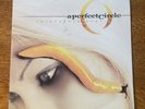 A Perfect Circle – Thirteenth Step 2xLP 2003 VG+ First Pressing Vinyl Tool