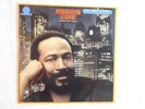 Marvin Gaye 