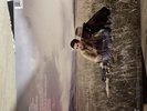 Paradise Valley by Mayer, John (Record, 2013)