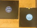 The Shaker - Mooncat / Just Lick It : Double 12