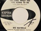 Big Maybelle  Oh, Lord, What Are You Doing To Me  7