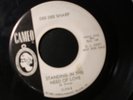 DEE DEE SHARP I REALLY LOVE YOU PROMO 45 RECORD STANDING IN THE NEED OF LOVE