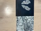 Coldplay – Ghost Stories Vinyl LP (2014) – Near Mint – Gatefold + Inner Sleeve