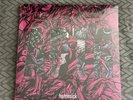 A Day To Remember Homesick Vinyl LP /1500 Clear w/ Green, Purple, Blue Splatter
