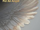 PAUL VAN DYK - FOR AN ANGEL - 30TH ANNIVERSARY EDITION - LIMITED DOUBLE VINYL