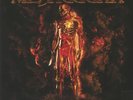 MESHUGGAH - Immutable - Vinyl (limited gatefold marbled vinyl 2xLP + poster)