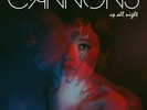 Up All Night / Covers by Cannons (Vinyl, Picture Disc) Free Shipping