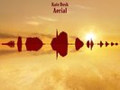 Kate Bush Aerial 180g Double Vinyl LP Remastered 2018 Fish People New - see desc