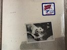FLEETWOOD MAC TUSK ORIGINAL FIRST PRESS 2LP SEALED 1979