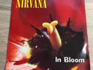 Nirvana - In Bloom - Rare Jukebox Vinyl Single 1992 Rock/Grunge