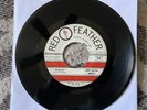 LARRY BRUMMETT & THE ABEGGS Time b/w Hula Rare Doo Wop Garage Teen 45 VG+ 1962