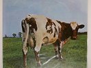 PINK FLOYD ATOM HEART MOTHER ODEON OP80102 Japan VINYL LP