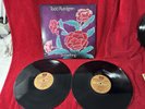 TODD RUNDGREN Something / Anything BEARSVILLE/RHINO 2xLP VG+ w/foldout insert
