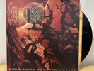 Decrepit Birth - Diminishing Between Worlds 1st Press Animosity  Death Metal