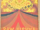Savoy Brown - Raw Sienna vinyl SLK16649-P