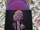 New Ltd Blut Aus Nord 2lp, Hallucinogen, Bolzer, Beverast, Watain, Portal,Akhlys