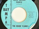 ROVIN' FLAMES Seven Million People, Bo Diddley RARE 1966 45, Garage, Tampa Bay