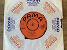 Reggae In Flames  Rocket Man  Pama Records ‎– PM 842