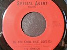 SYL JOHNSON - DO YOU KNOW WHAT LOVE IS - 7