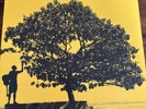 In Between Dreams by Jack Johnson (Record, 2005)