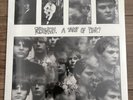 The Prisoners A Taste Of Pink LP 2013 Pink Vinyl New Sealed Medway Milkshakes