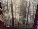 Taylor Swift Folklore In The Trees Variant BRAND NEW SEALED 1st Press FromFrance