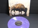 Silverstein: This is How the Wind Shifts Purple Marble Vinyl