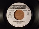 Dave Davies Susannah's Still Alive/Funny Face Promo Pop Psych The Kinks