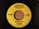 The Remains Why Do I Cry/My Babe RARE  Garage 1965 Epic B side Non-LP