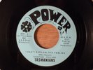 Tasmanians I Can't Explain This Feeling/If I Don't RARE  FL Garage 1967 Power