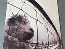 Vs. LP by Pearl Jam (Vinyl, 1993 Epic Associated) Z53136