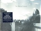 The Blessed Unrest, Sara Bareilles, New