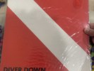 VAN HALEN - DIVER DOWN LP 1982 (WB RECORDS BSK 3677 AUSTRALIA)