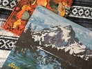 IN THE MORNING Hosanna 1974 Rural Rock LP Vinyl SEALED Psych Pakora SALE