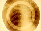 X-RAY USSR ROENTGEN BONES RECORD ORIGINAL OLD RIBS 929
