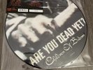 Children Of Bodom ‎– Are You Dead Yet? - Limited edition VINYL (2009)