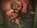 Decrepit Birth 