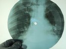 LED ZEPPELIN FRIENDS X-Ray USSR Record Roentgen Bone Ribs Music Vinyl