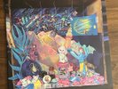 AJJ Andrew Jackson Jihad Christmas Island side one dummy Blue Pink White Vinyl