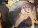 The Cure - The Head On The Door PICTURE DISC RSD 2025 Vinyl SHIPS SAME DAY