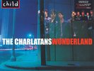 Charlatans: Wonderland RSD25 Colored Vinyl 2LP Sealed